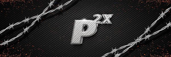 Platinum_2x Profile Banner