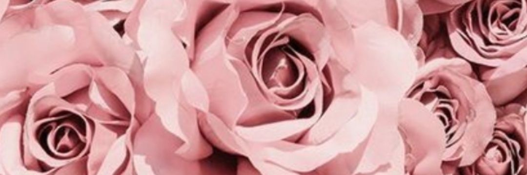 SandraDee1497's profile banner image