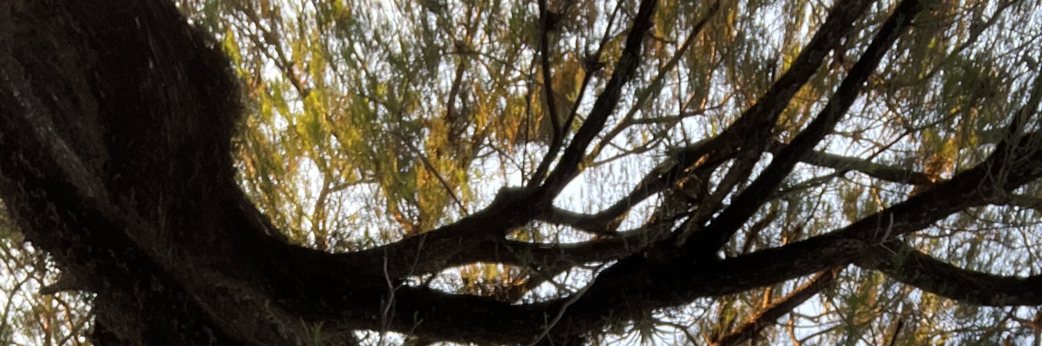 Maferfc_'s profile banner image
