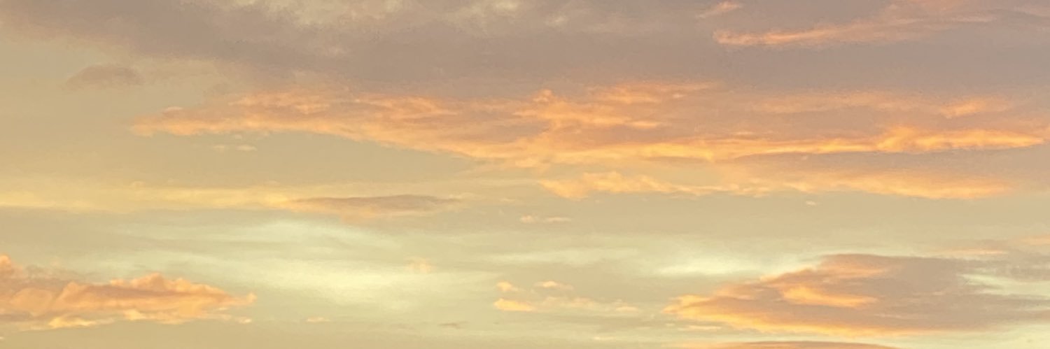 bafrro's profile banner image