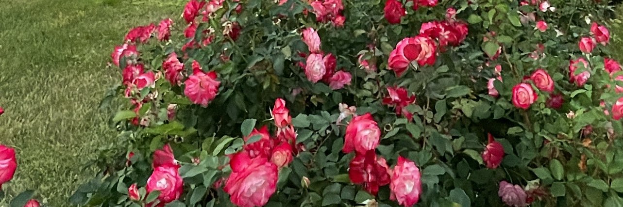AlmutairiAwatif's profile banner image