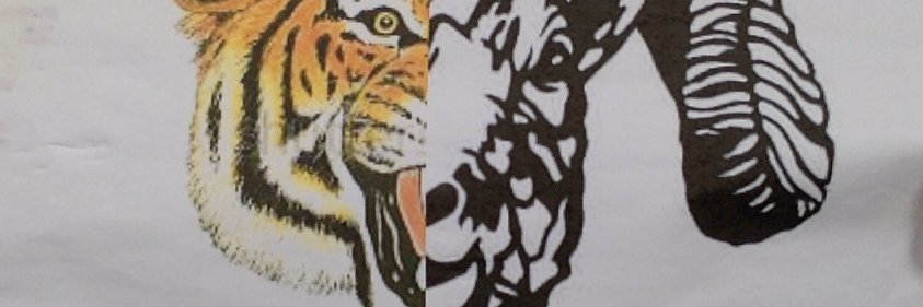 twojays1974's profile banner image
