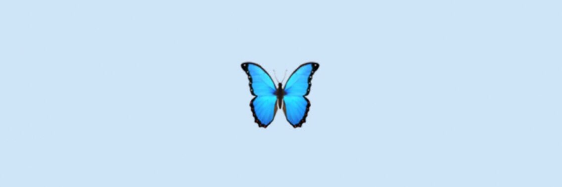 kaitlin sicard banner