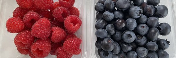 odate_raspberry Profile Banner