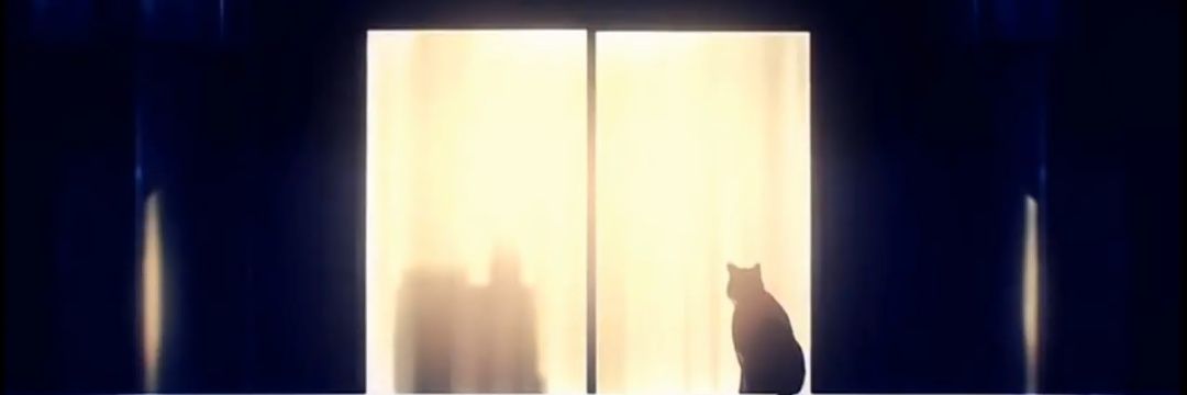 CalebGonzlez20's profile banner image