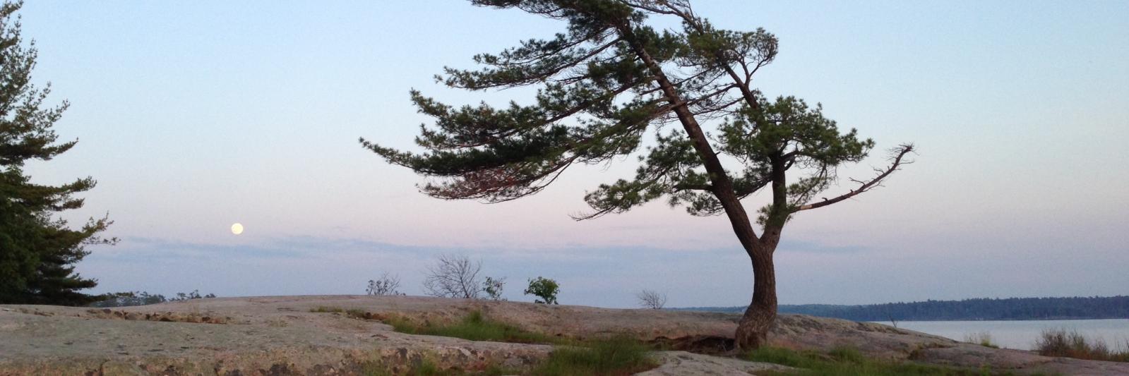 Kyle Geerlings banner