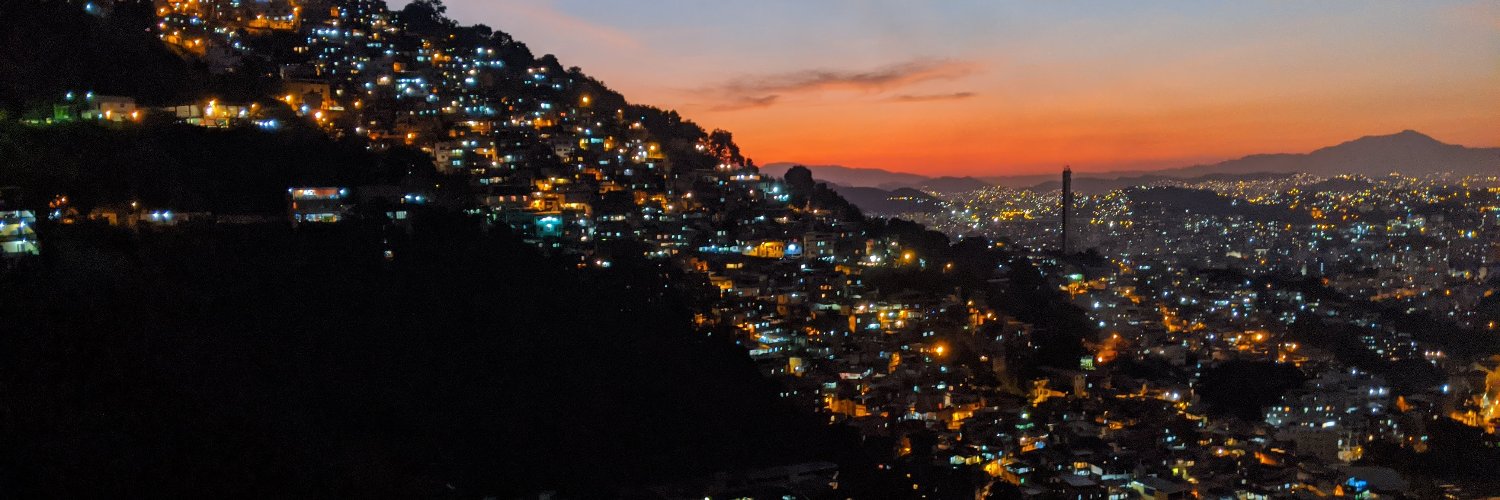 Theresa Williamson banner