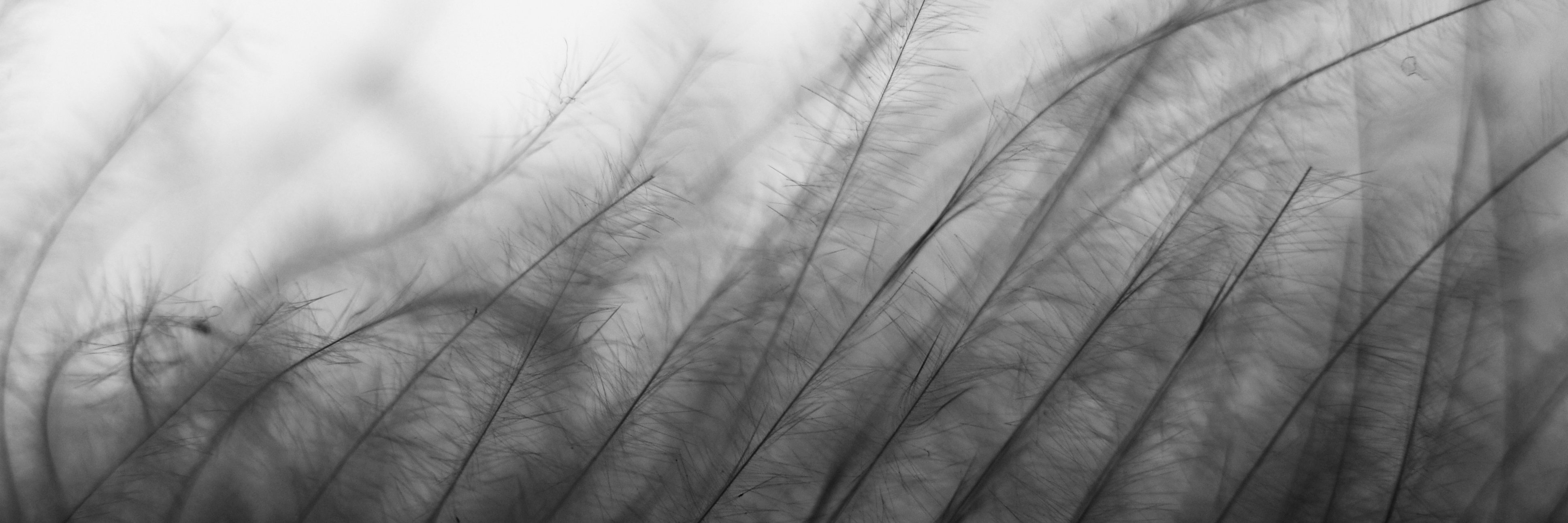 redpromo's profile banner image
