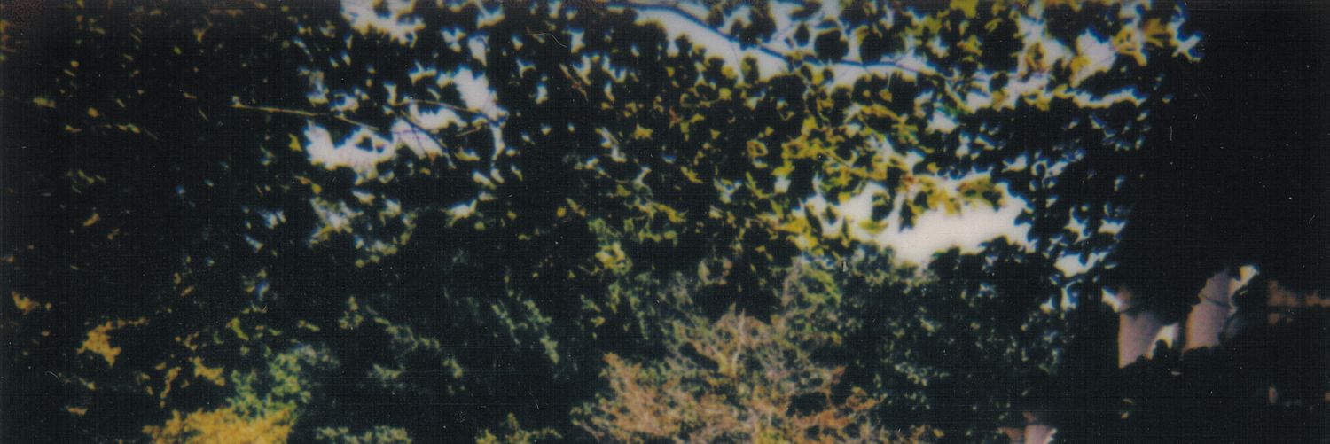 ebp1912's profile banner image