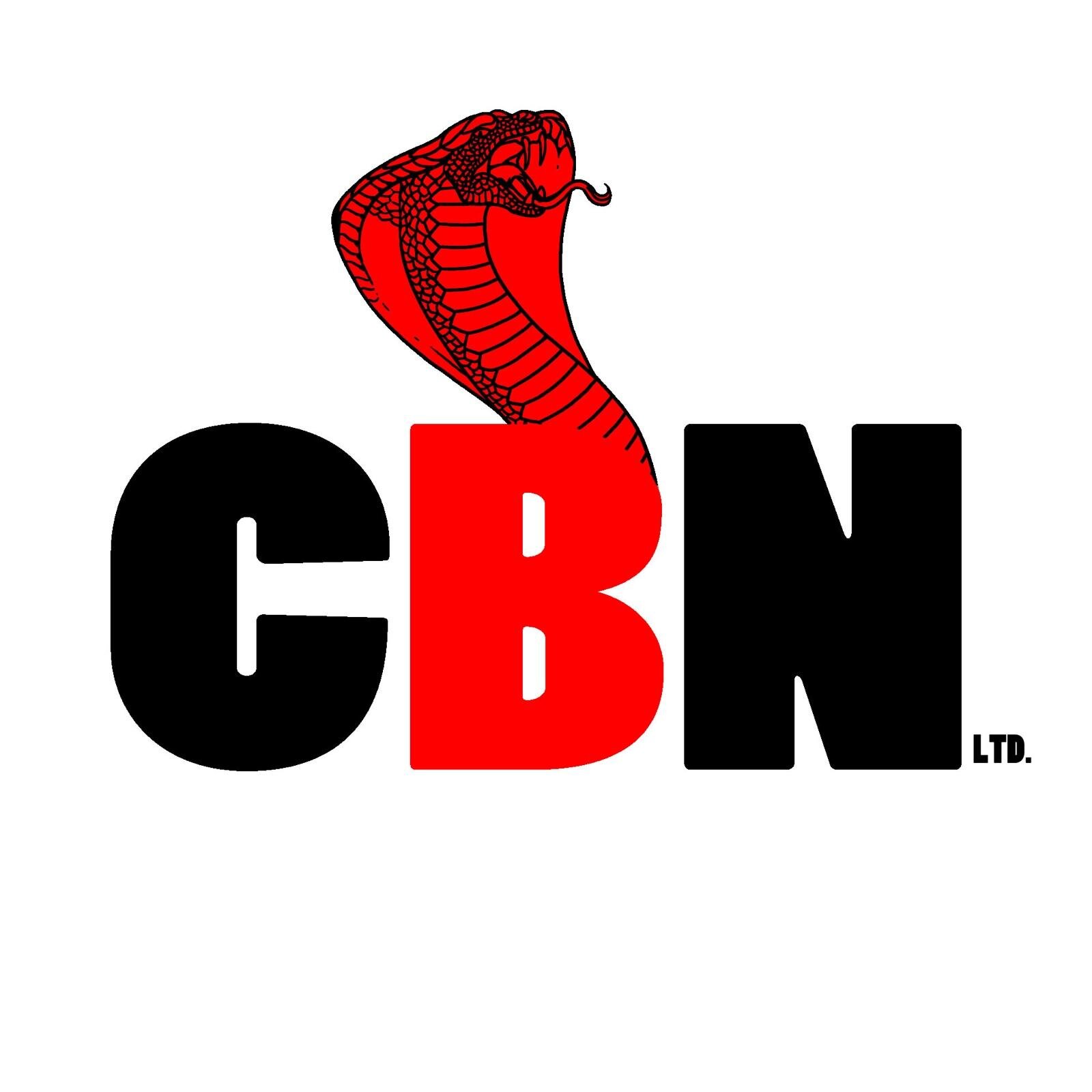 Ace CBN banner