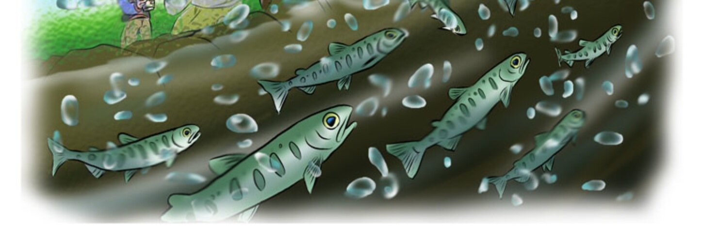 tadekichi's profile banner image