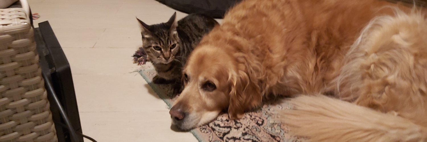 Eyal Morag 🇺🇦 banner