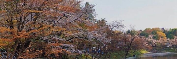 devina_asri's profile banner image