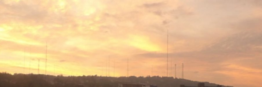 brenna banner