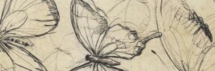 oreoreodi's profile banner image