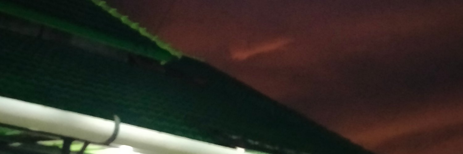 erfidwii's profile banner image