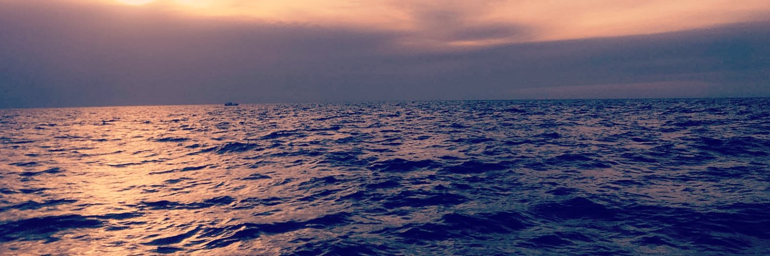 Andreina Giustiniani banner