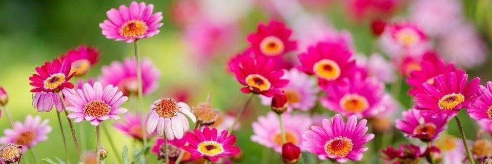 Curious Mind 🟥@🍊,💊⚡️ZugChain banner