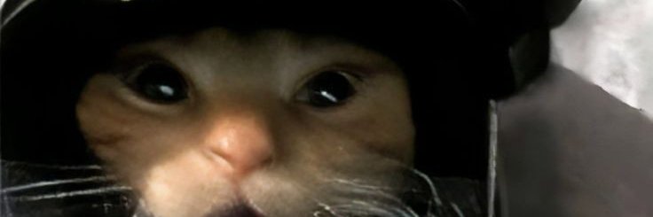 indrehehehe banner
