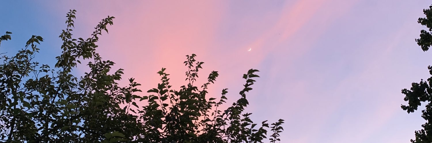 SirConkerr's profile banner image