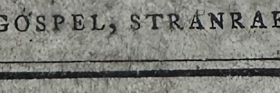 Stephen Steele banner