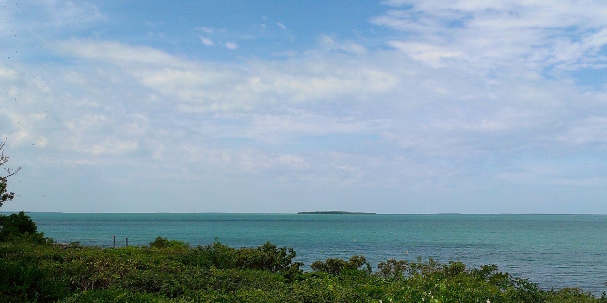 MsHillgartner's profile banner image