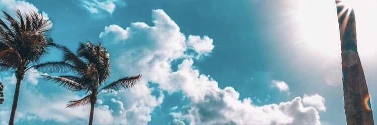Widyatale's profile banner image