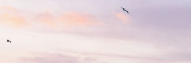 ที่รัก🤍 banner