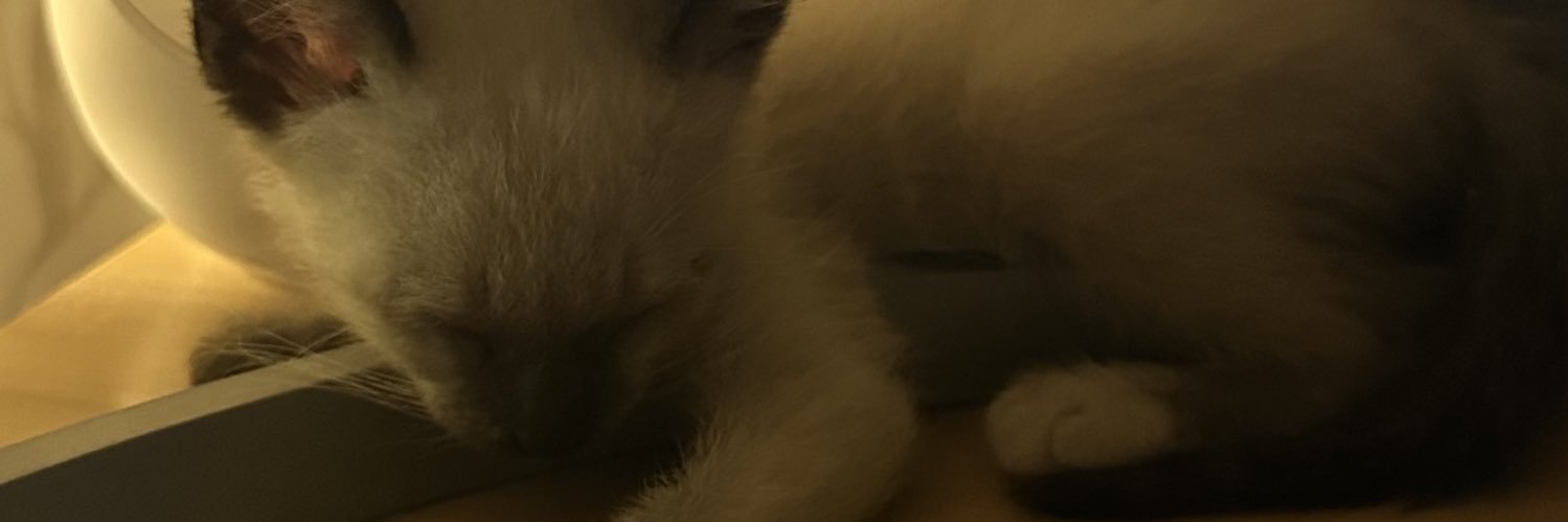 SunixDey banner