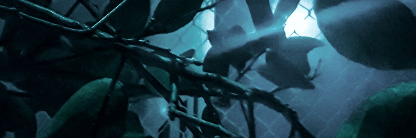 _kennykenny's profile banner image