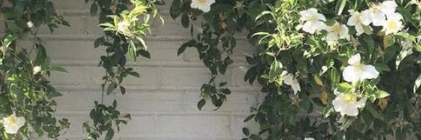 abtxo_'s profile banner image