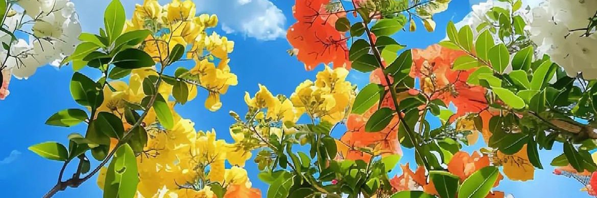 Violeta_5's profile banner image