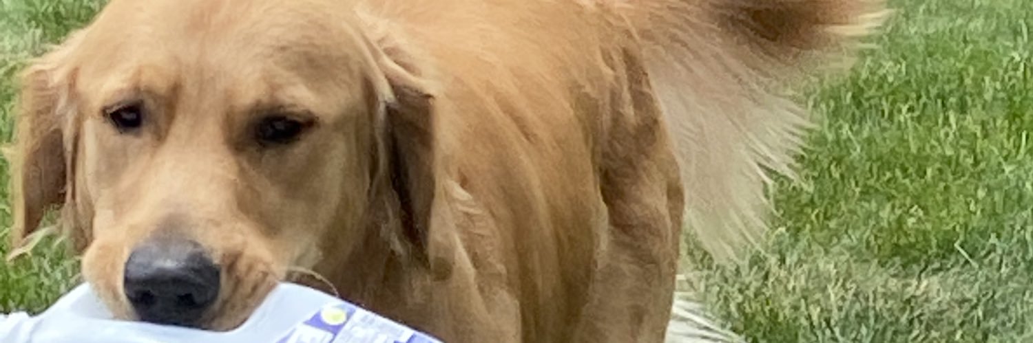 TylerDeman's profile banner image