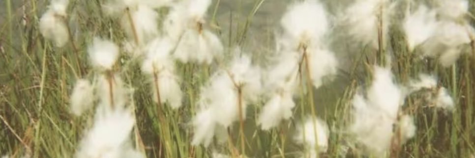 fahlgg's profile banner image