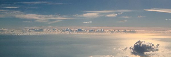 joycebudenberg Profile Banner