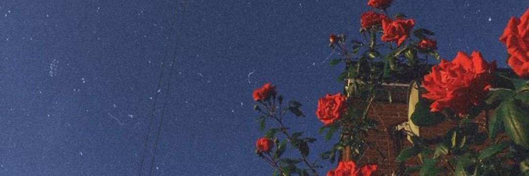 Diovane Vieira banner