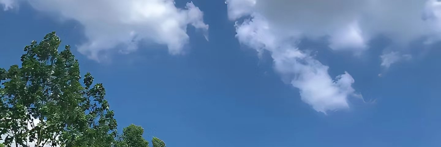 窒息温床Crush banner
