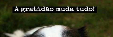 FefiMunhoz's profile banner image