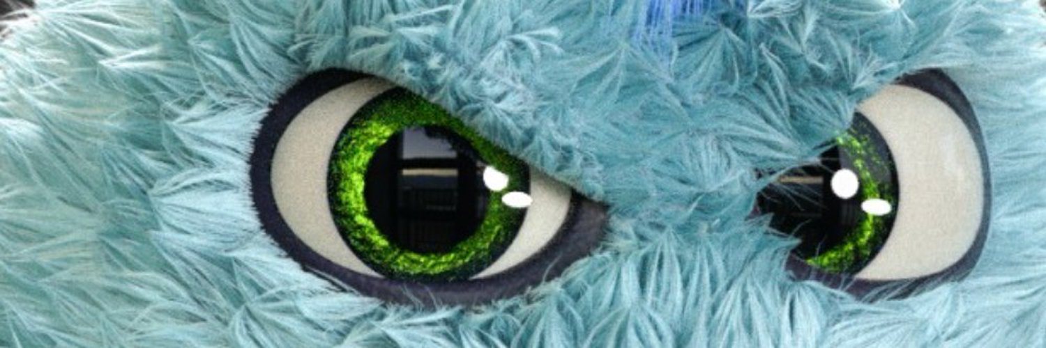 MikkiShill's profile banner image