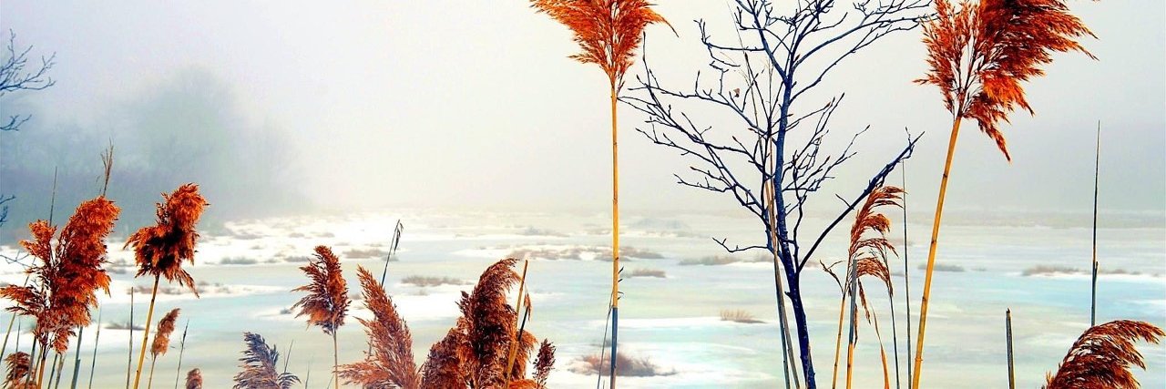 sweener24's profile banner image