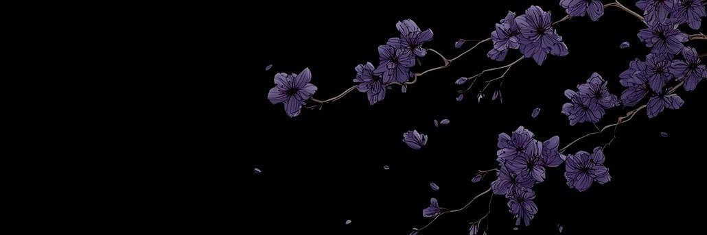 ₊˚⊹ ᰔ banner