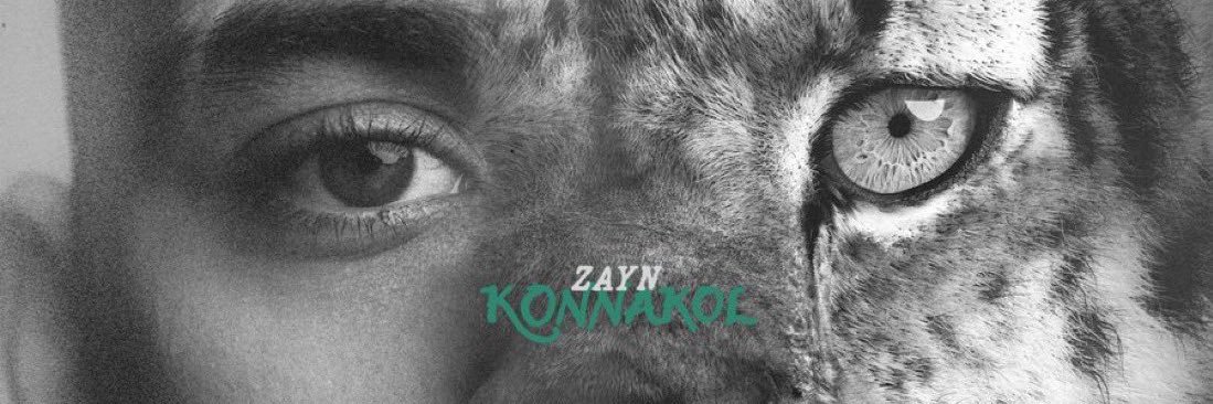 zayntale's profile banner image