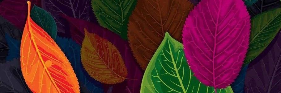 Power_Rangerrr's profile banner image