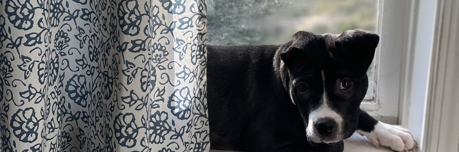 Danimal_ATL_'s profile banner image