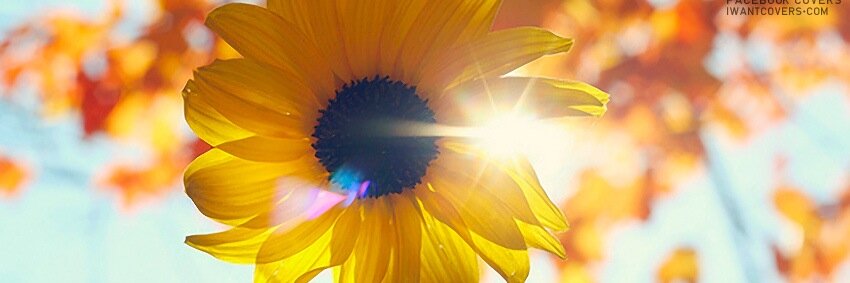 Kalin_Renee's profile banner image