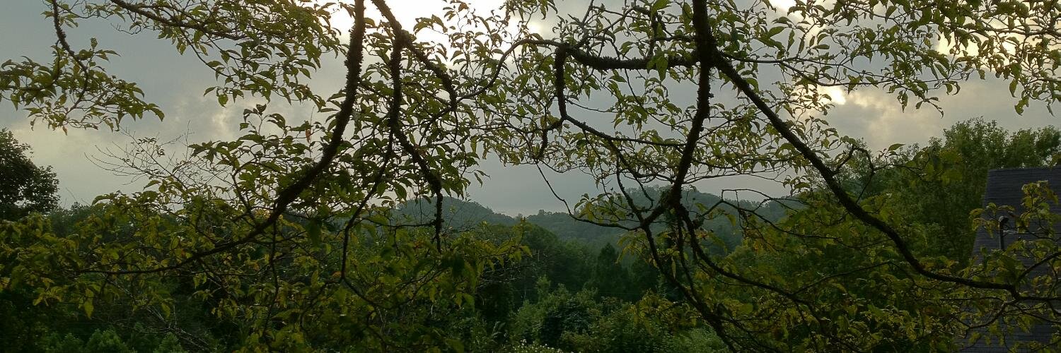 Freda Williams banner