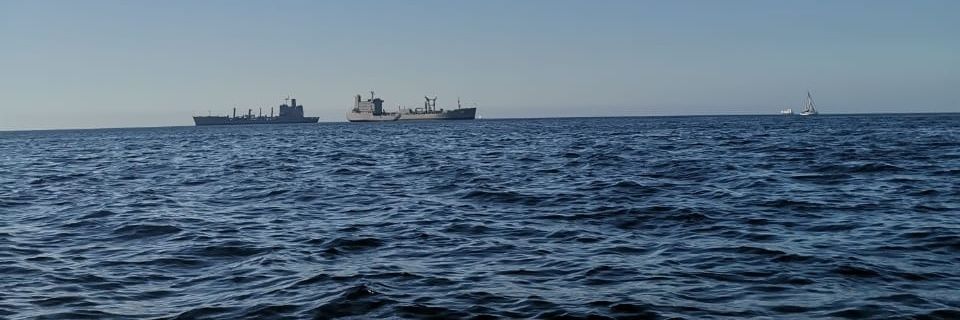 Marcelo, MCMLXV banner