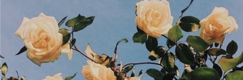 arlayna_s's profile banner image