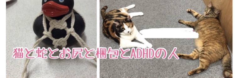LikeOshiri's profile banner image