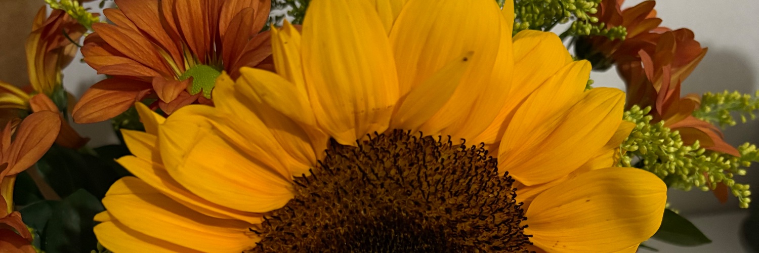 Kakaariine's profile banner image